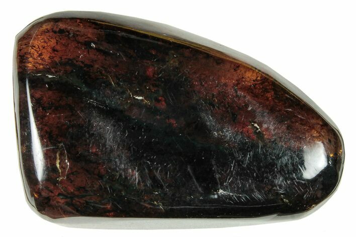 Polished Chiapas Amber ( g) - Mexico #253851